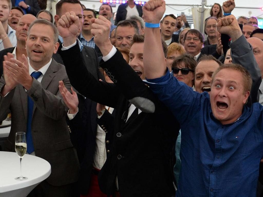 afd allemagne
