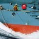 chasse baleine japon