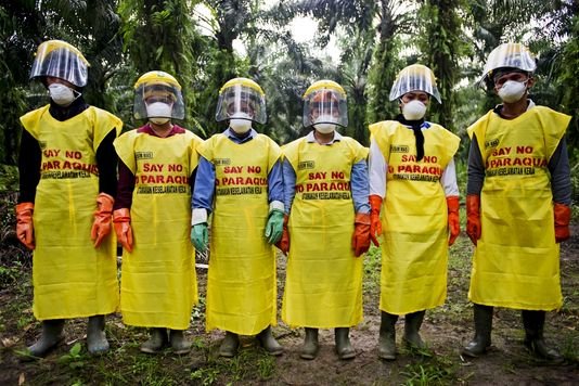 des travailleurs d'une plantation à Java