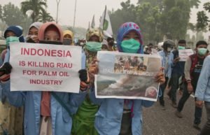 indonesian students holds posters as they protest against the palm oil industry in pekanbaru riau pr
